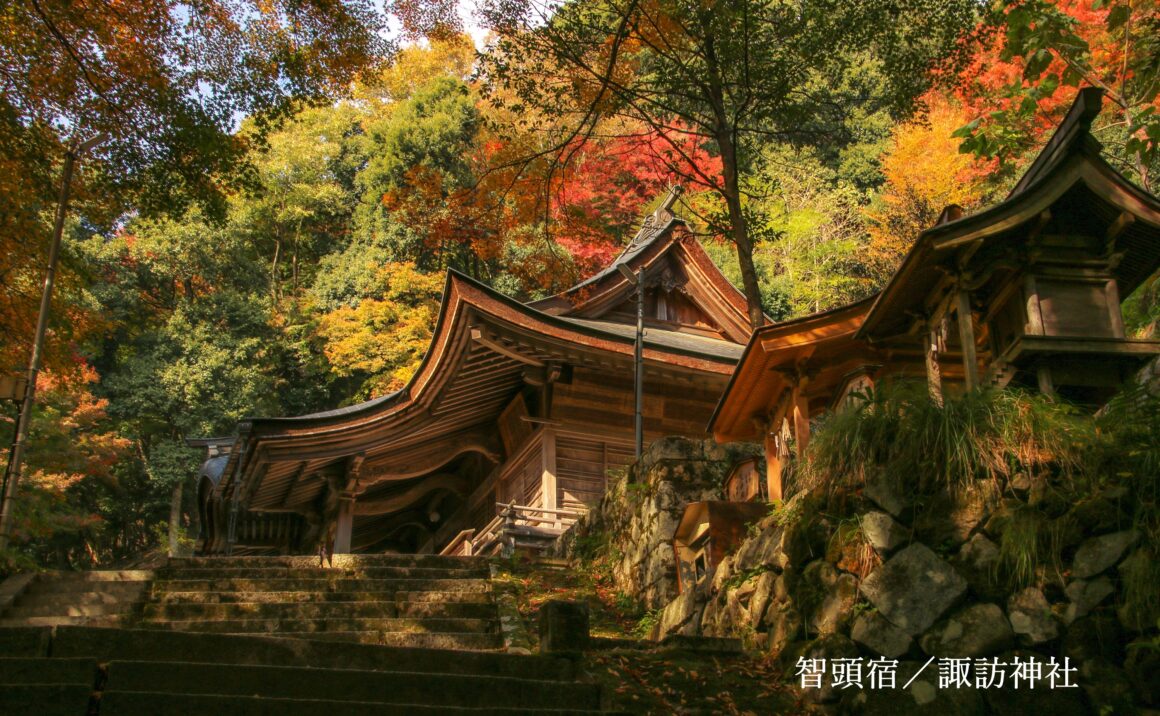 Suwa Shrine famous for autumn red leaves