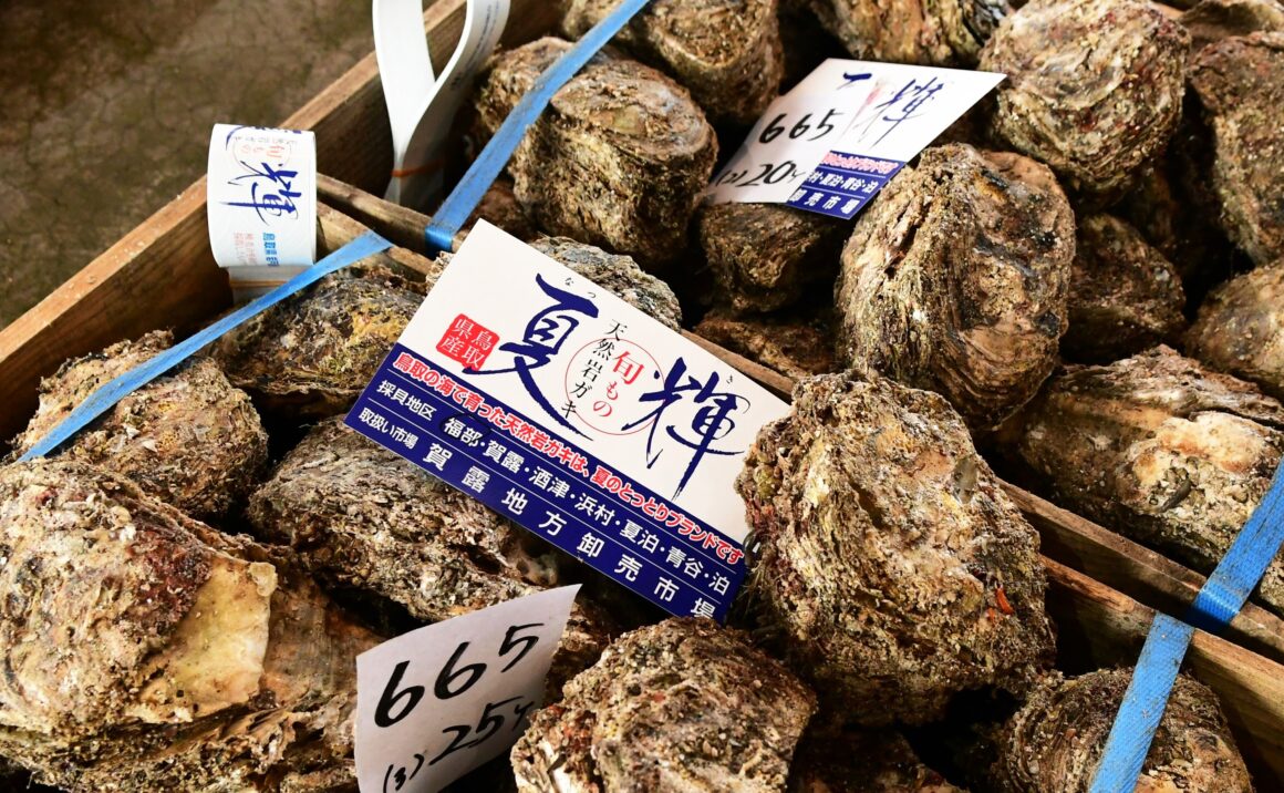 Mountains of oysters at local markets, Tottori brand "Natsuki" is a must!